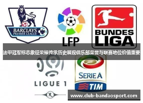 法甲冠军标志象征荣耀传承历史展现俱乐部荣誉与联赛地位价值重要